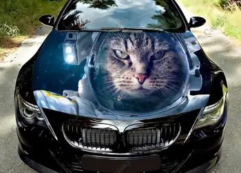 звездный кот животное Цвет капота автомобиля Виниловая наклейка Наклейка Грузовик Графический капот Пользовательские наклейки для украшения автомобиля